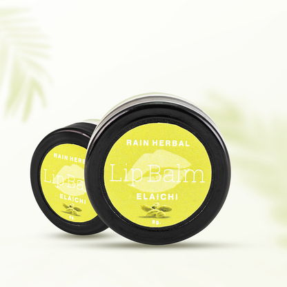 Rain Herbal Elaichi Lip Balm | 8gm